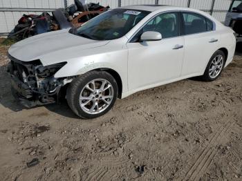  Salvage Nissan Maxima