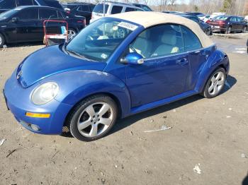  Salvage Volkswagen Beetle