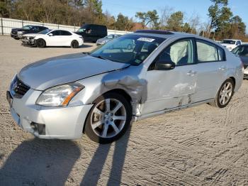  Salvage Nissan Maxima