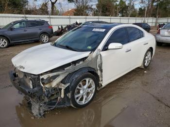  Salvage Nissan Maxima