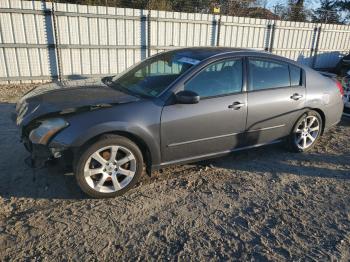  Salvage Nissan Maxima