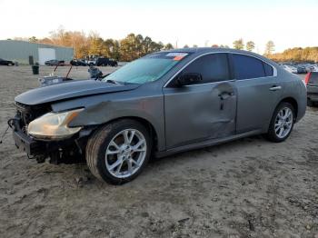  Salvage Nissan Maxima