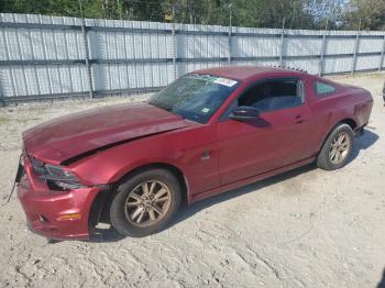 Salvage Ford Mustang