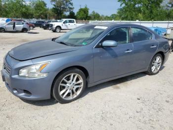  Salvage Nissan Maxima
