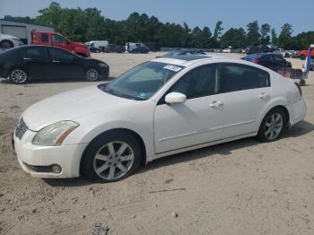  Salvage Nissan Maxima