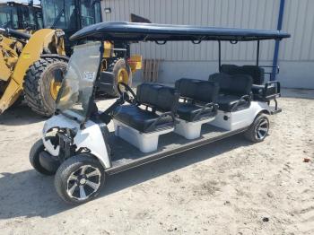  Salvage Other Golf Cart