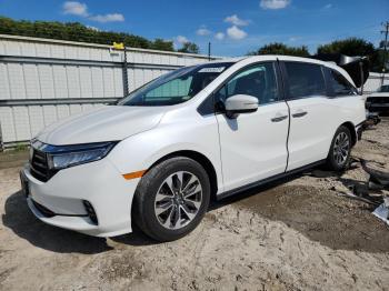  Salvage Hond Odyssey Ex-l