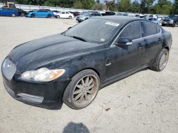  Salvage Jaguar XF