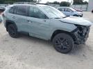 Toyota RAV4 Adventure Image 8