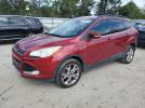 Ford Escape Sel Image 1