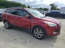 Ford Escape Sel Image 6