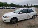 Mitsubishi Lancer Oz Rally Image 1