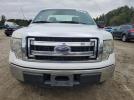 Ford F-150 Image 8