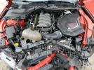 Ford Mustang Gt Image 6