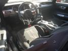 Ford Mustang Gt Image 11