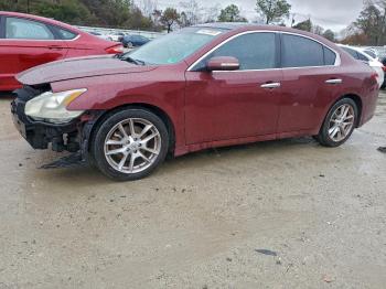  Salvage Nissan Maxima