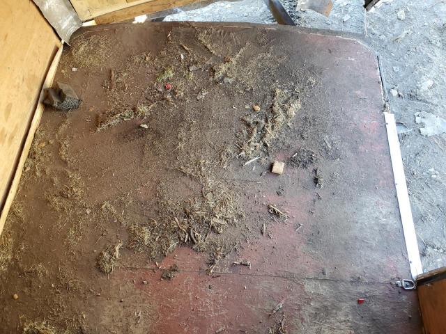 Bravo Other Image 12