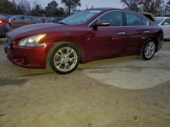  Salvage Nissan Maxima