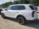 Kia Telluride Sx Image 2