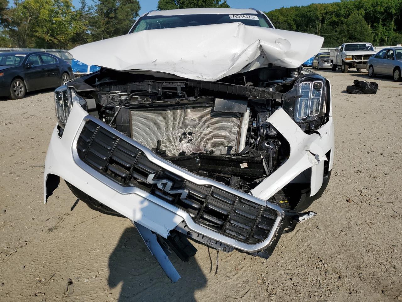 Kia Telluride Sx Image 6