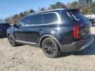 Kia Telluride Sx Image 3