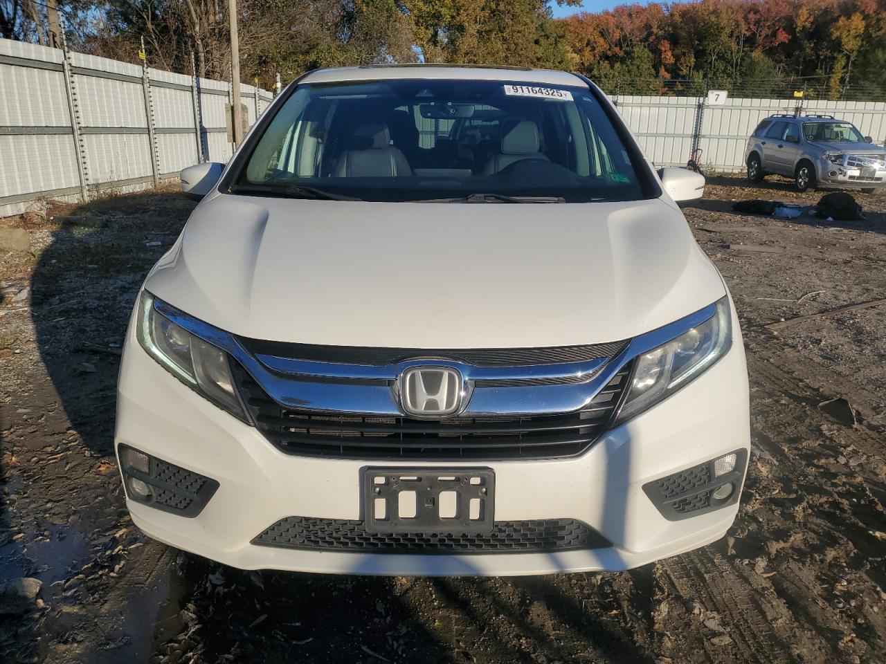 Honda Odyssey Exl Image 5