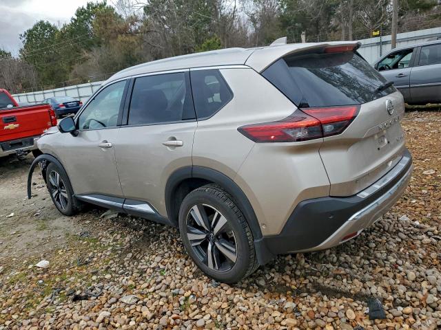 Nissan Rogue Platinum Image 2