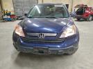 Honda Crv Exl Image 2