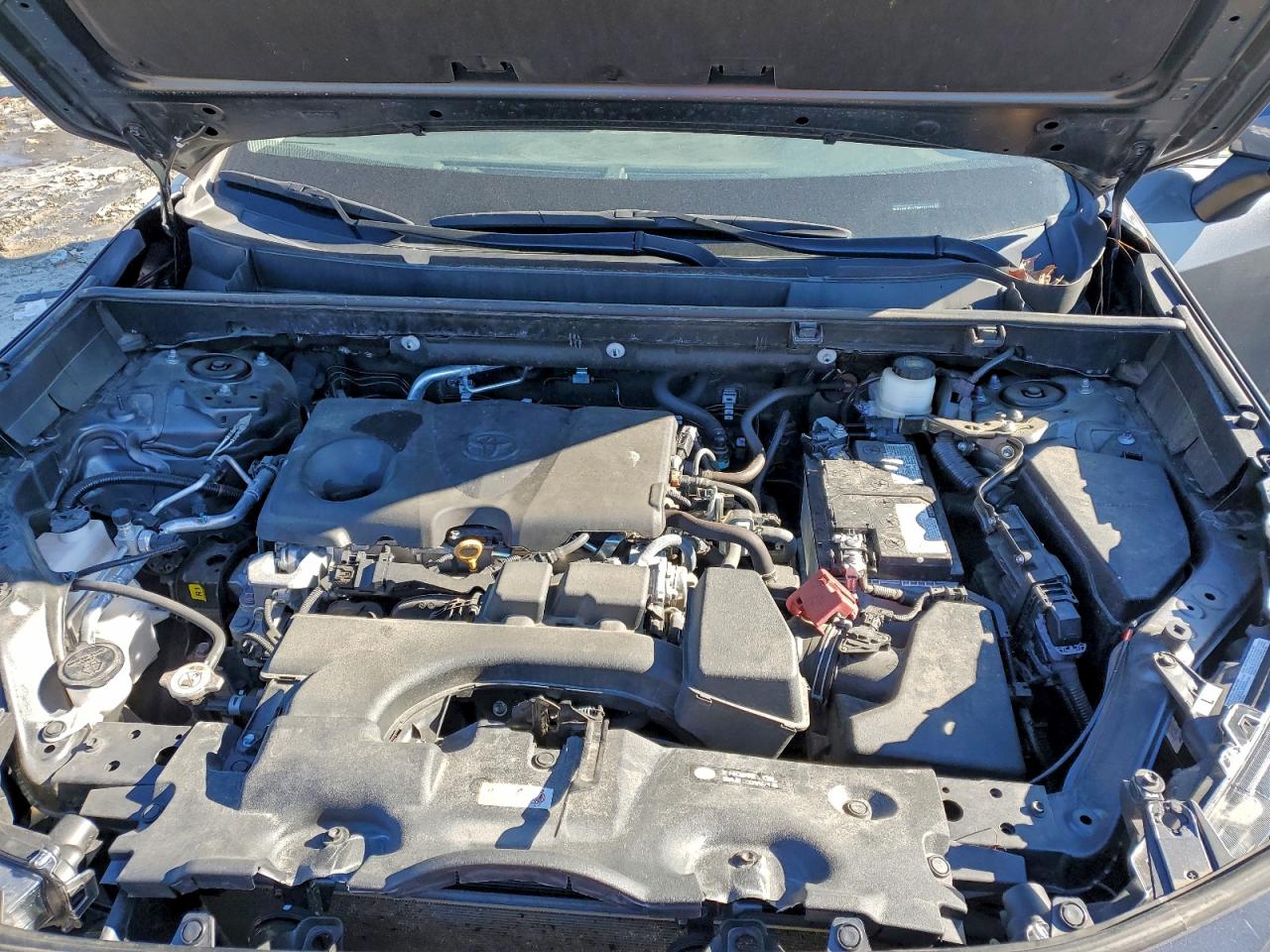 Toyota RAV4 Xle Image 8