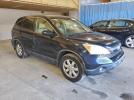 Honda Crv Exl Image 2