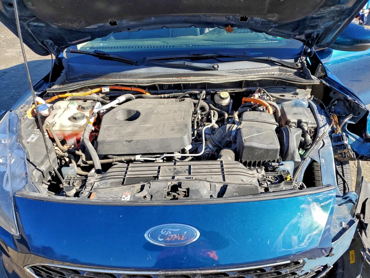 Ford Escape Titanium Image 7