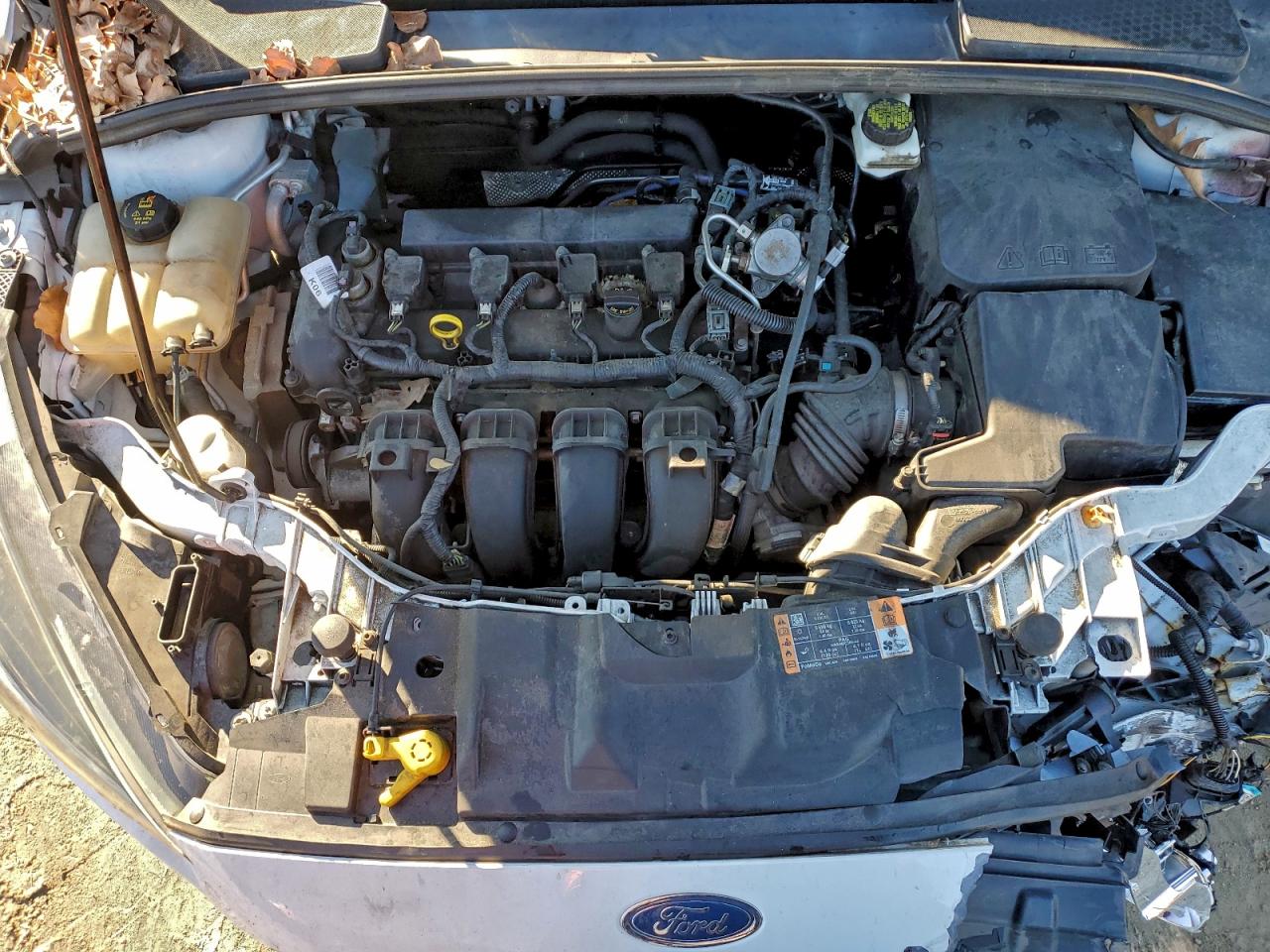 Ford Focus Sel Image 2