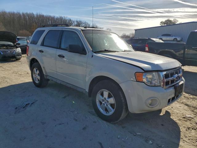 Ford Escape Xlt Image 11