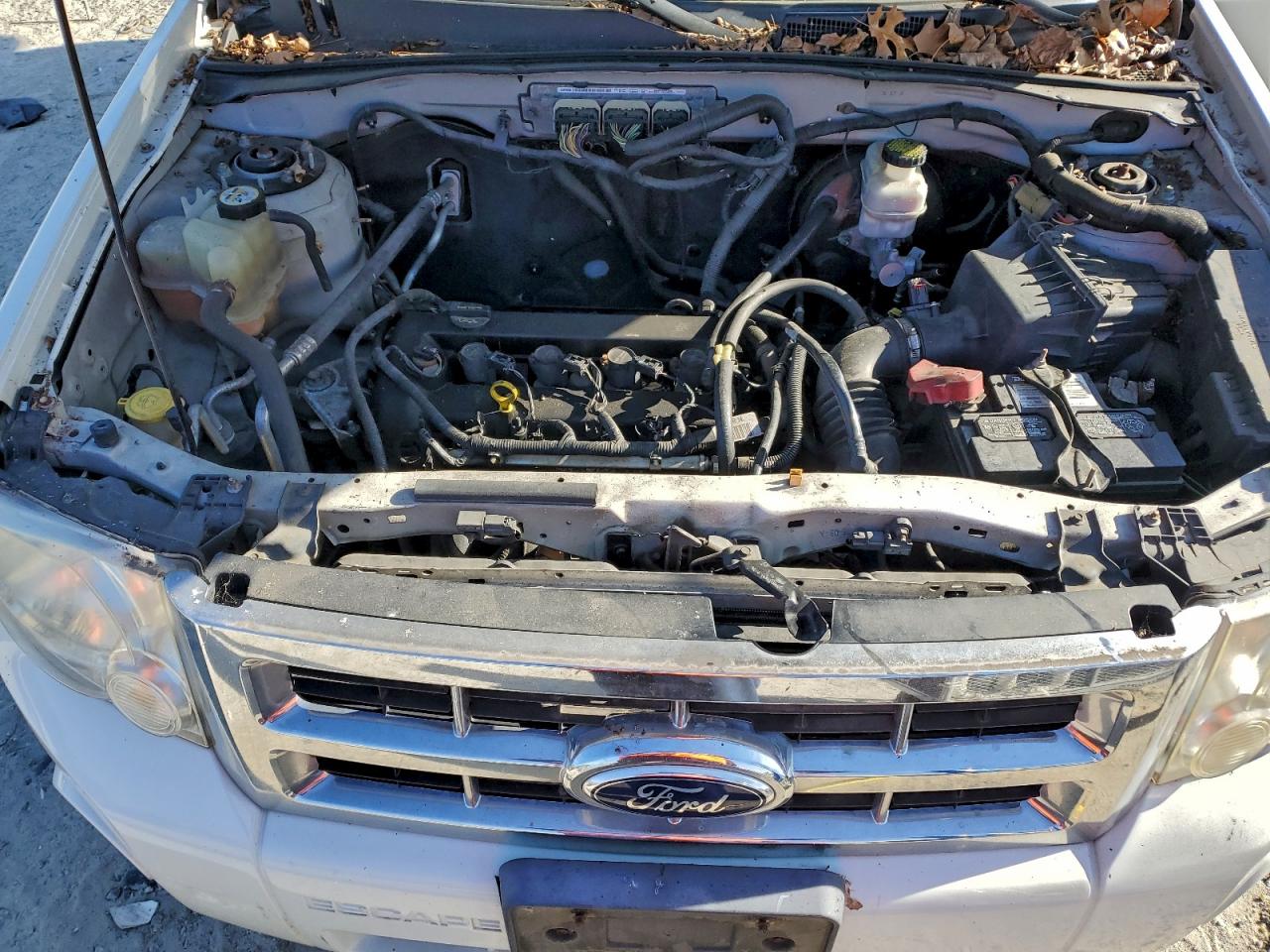 Ford Escape Xlt Image 6